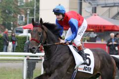 Ibicenco mit Tom Queally beim Aufgalopp vor dem Derby 2011. www.galoppfoto.de - Frank Sorge