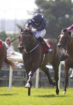 Landofhopeandglory (Mitte) gewinnt sein erstes Rennen im irischen Galway. Foto: courtesy by Tattersalls 