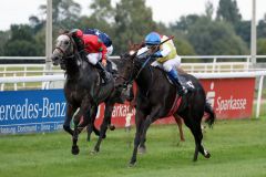 Intendantin gewinnt den Agl. II am 18.09.2016 in Dortmund (Foto: Dr. Jens Fuchs)