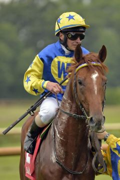 Iraklion mit Wladimir Panov in Bremen. www.galoppfoto.de - Sabine Brose