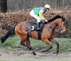 Irish Poseidon am 17.3.2019 in Krefeld - Foto: Dr. Jens Fuchs