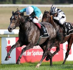 Jeföhl gewinnt am 5.9.2018 in Köln - Foto: Dr. Jens Fuchs