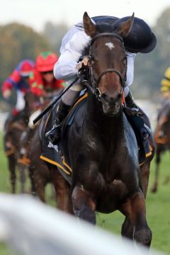 Jin Jin gewinnt mit Maxim Pecheur beim Sales & Racing-Festival in Baden-Baden. www.galoppfoto.de