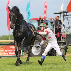 Jockey Michal Dobrik fällt am Start von Oster Prinz - das Rennbahn-Comeback des zehnjährigen Wallachs gescheitert. www.galoppfoto.de - Steffen Wollmann