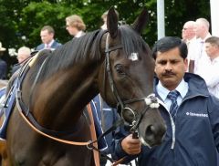 Kailani im Führing von Epsom 2012. Foto: Heidrun Küster