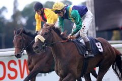 Kaldera mit Eddy Hardouin gewinnt für den Stall Torjäger das 130. Deutsche St. Leger. Foto: Dr. Jens Fuchs