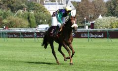 Kalderas erster Auftritt auf der großen internationalen Bühne - hier mit Eddy Hardouin in Longchamp - endete mit einem 7. Platz im Prix Chaudenay, Gr. II. Foto:  Dr. Jens Fuchs