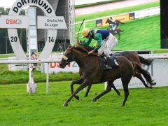 Kaldera gewinnt mit Eddy Hardouin das 130. St. Leger. Foto: Karina Strübbe