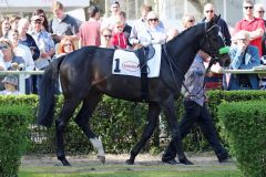 Khan präsentiert sich vor dem Düsseldorfer Derby-Trial im Führring. Foto: Dr. Jens Fuchs