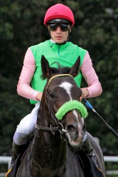 Khan mit Antoine Hamelin. www.galoppfoto.de - Sandra Scherning