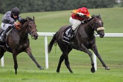 Kilkenny mit Martin Seidl beim Sieg im 2yo-Maiden in München. ©galoppfoto - WiebkeArt