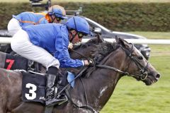 Knappe Entscheidung: Vintager ist mit William Buick im 86. Oettingen-Rennen nur "mit Hals" vorne. www.galoppfoto.de - Sabine Brose