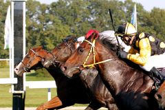 Knapper Einlauf im Wetten XXL-Preis - innen hat Stall Tondoses Birthday Lion mit Andreas Helfenbein für Trainer Uwe Stoltefuß die Nase vorn. www.klatuso.com