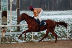 Königsadler siegt mit Rene Piechulek im RaceBets.com-Championspreis, Agl. II, am letzten Renntag des Jahres 2014 in Dortmund. Foto: Dr. Jens Fuchs