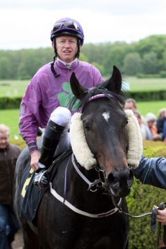 Komeos mit Filip Minarik nach dem Sieg in Hoppegarten 2012. www.galoppfoto.de - Frank Sorge