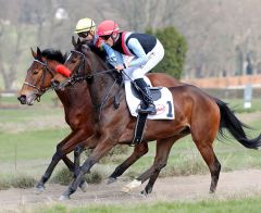 Vorne La Magique, hinten Tenuta am 25.03.2018 in Düsseldorf - Foto. Dr. Jens Fuchs