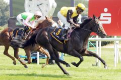 La Sadira gewinnt mit Eduardo Pedroza sicher im Iffezheimer Maiden. www.galoppfoto.de - Sarah Bauer