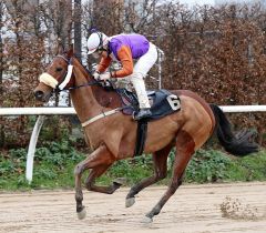 Seriensieger auf Sand: Lacato gewinnt am 29.12.2018 in Neuss - Foto: Dr. Jens Fuchs