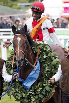 Laccario mit Eduardo Pedroza nach dem Sieg im IDEE 150. Deutsches Derby. www.galoppfoto.de