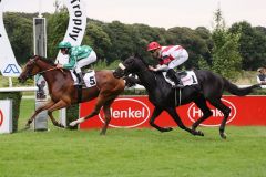 Benötigte schon ein wenig Anlauf bis zum ersten Sieg: Lady Emerald gewinnt mit Andrasch Starke in Düsseldorf. www.galoppfoto.de - Klaus-Jörg Tuchel