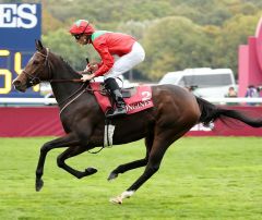 Lady Frankel am 7.10.2018 in Longchamp - Foto: Dr. Jens Fuchs