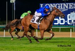 In den Blue Point Stakes auf den Spuren von Blue Point: Lazuli. Foto: DRC 