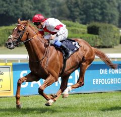 Leoro gewinnt am 9.7.2017 in Köln - Foto: Dr. Jens Fuchs