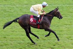 Lesstalk in Paris mit Ioritz Mendizabal beim Aufgalopp in Longchamp. www.galoppfoto.de - Frank Sorge