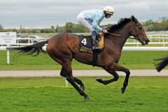 Liber Nauticus mit Ryan Moore beim Aufgalopp in York. www.galoppfoto.de - John James Clark