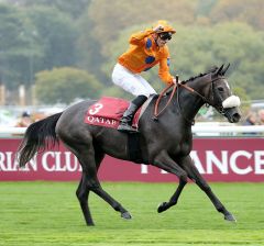 Lily's Candle nach ihrem Sieg am 7.10.2018 in Longchamp - Foto: Dr. Jens Fuchs