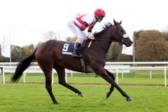 Lingolana mit Alexander Pietsch beim Aufgalopp in Hannover 2013. www.galoppfoto.de - Frank Sorge