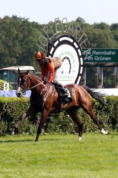 Lob vom Jockey  Wladimir Panov für Polski Poseidon nach einem leichten Sieg. www.galoppfoto.de - Frank Sorge