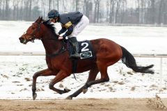 Lommerzheim holt sich mit Tommaso Scardino den Sieg auf der winterlichen Dortmunder Sandbahn. ©galoppfoto - Stephanie Gruttmann