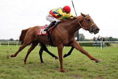 Lord Dubai und Filip Minarik mit Riesenschritten auf dem Weg zum Sieg. www.galoppfoto.de - Sabine Brose