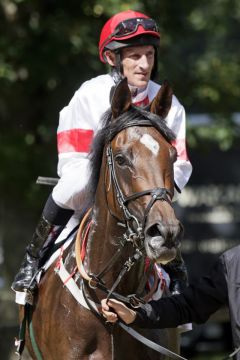 Lovelle mit Andrasch Starke nach ihrem Sieg beim Lebensdebüt in Düsseldorf. ©galoppfoto - Stephanie Gruttmann