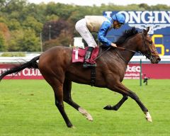 Luigi Vampa am 5.10.2019 in Longchamp - Foto: Dr. Jens Fuchs