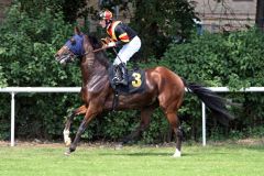 Macao mit Mirco Demuro beim Aufgalopp. www.galoppfoto.de