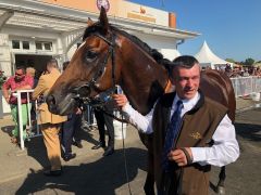 Macht das Doppel-Doppel perfekt - für den Deckhengst Soldier Hollow und den Trainer Markus Klug, die beide die beiden Erstplatzierten stellen: Gestüt Park Wiedingens Destino im Absattelring. Foto: Dequia 