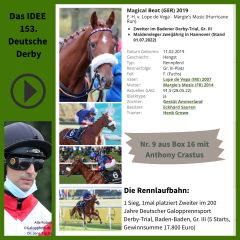 Geht mit der Nr. 9 ins IDEE 153. Deutsche Derby - Magical Beat. ©galoppfoto - Turf-Times - Dr. Jens Fuchs