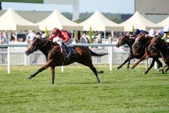 Waipiro holt sich die Hampton Court Stakes. Foto: Racenews/Megan Ridgwell