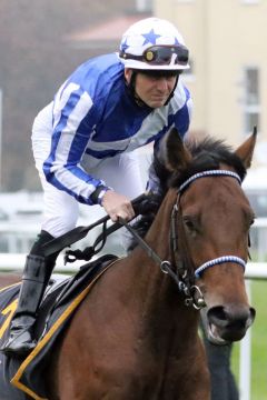 Maraseem mit Jozef Bojko beim Aufgalopp in Baden-Baden. ©galoppfoto - Sarah Bauer