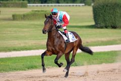 Millowitsch mit Andreas Helfenbein beim Aufgalopp zum Nutan - BBAG-Auktionsrennen. Foto: Dr. Jens Fuchs