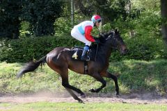 Der Aufgalopp lässt schon so einiges erahnen.... (Foto: Dr. Jens Fuchs)