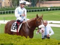 Nach dem Sieg im Premio Guido Berardelli: Misterious Boy mit Stefano Botti in Capanelle. Foto: Heidrun Küster