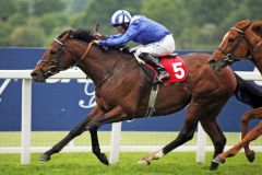 Mukhadram mit Paul Hanagan beim Sieg in den Brigadier Gerard Stakes. www.galoppfoto.de - Petr Guth