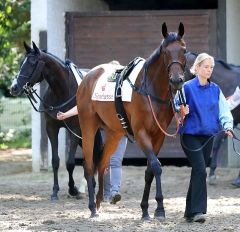 Nantany am 19.8.2018 in Düsseldorf - Foto: Dr. Jens Fuchs