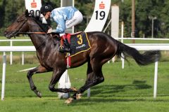 Im kleinen Fünferfeld im Dortmunder 2yo-Maiden überlegen: Near Poet siegt mit Martin Seidl mit einem Vorsprung von 6 Längen. www.galoppfoto.de - Stephanie Gruttmann