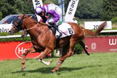 Nerik mit Bauyrzhan Murzabayev beim Listentreffer im Düsseldorfer Derby-Trial. ©Turf-Times - Dr. Jens Fuchs