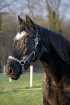 New Khan mit 29 Jahren. Foto: privat