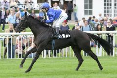 Nice Nelly beim Aufgalopp mit Sabrina Wandt in Hoppegarten. www.galoppfoto.de - Frank Sorge